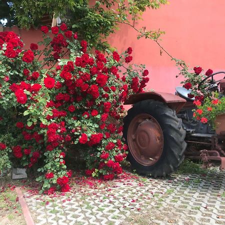 Agriturismo Mulino Bianco Lonato Eksteriør bilde