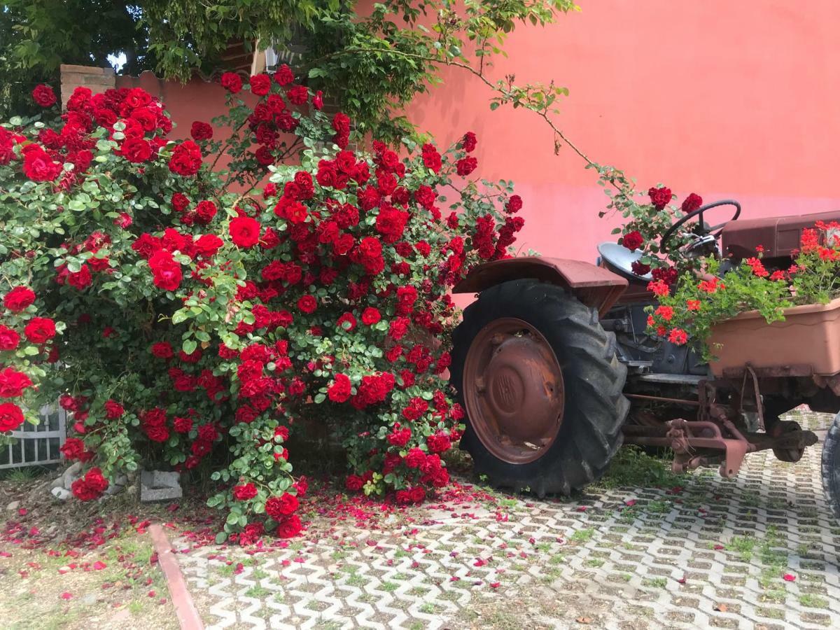 Agriturismo Mulino Bianco Lonato Eksteriør bilde